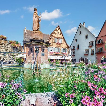 Hotel Colmar Vignes Егісайм Екстер'єр фото